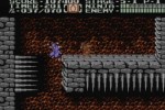 Ninja Gaiden II: The Dark Sword of Chaos (Wii)