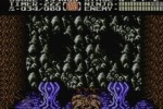 Ninja Gaiden II: The Dark Sword of Chaos (Wii)