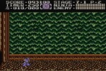 Ninja Gaiden II: The Dark Sword of Chaos (Wii)