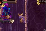 The Legend of Spyro: The Eternal Night (Game Boy Advance)