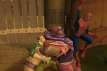 Spider-Man: Friend or Foe (Wii)