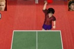 Balls of Fury (DS)