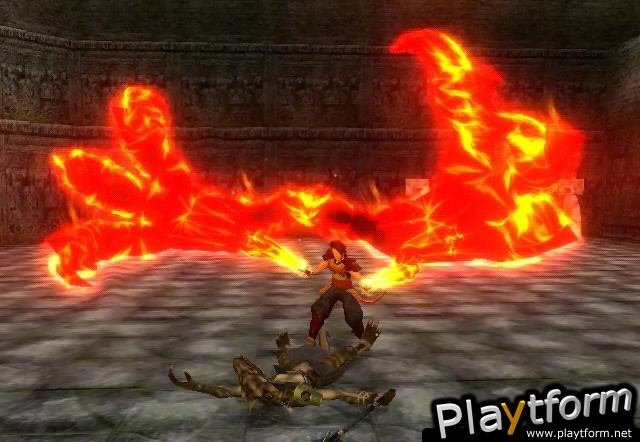 Dragon Blade: Wrath of Fire (Wii)