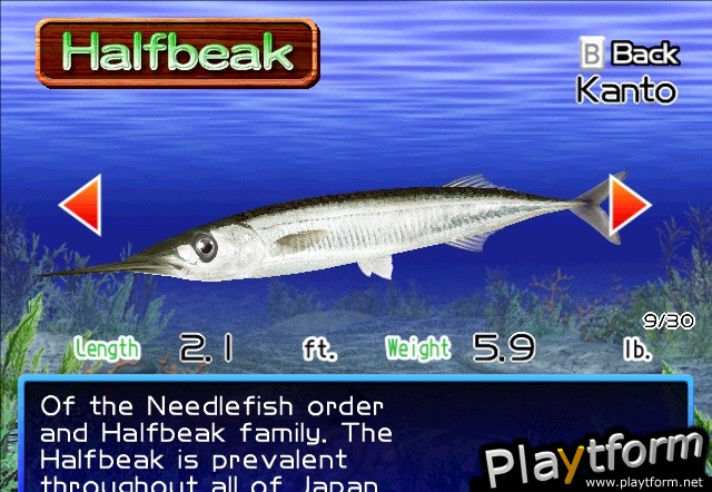 Fishing Master (Wii)