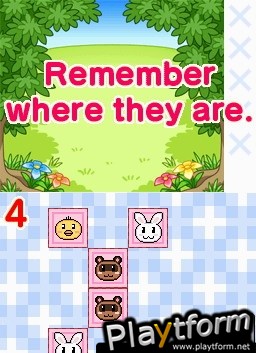 Smart Girl's Playhouse (DS)