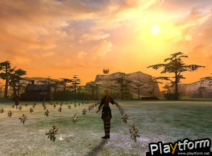 Bounty Bay Online (PC)