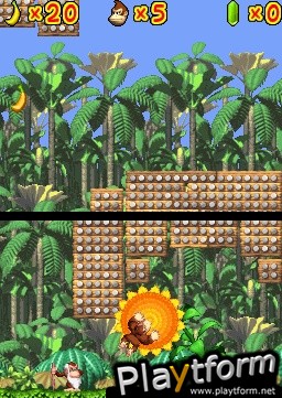 DK Jungle Climber (DS)