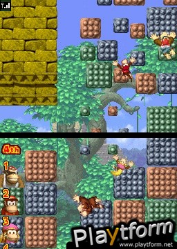 DK Jungle Climber (DS)