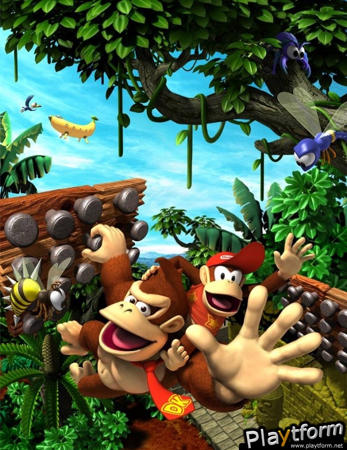 DK Jungle Climber (DS)