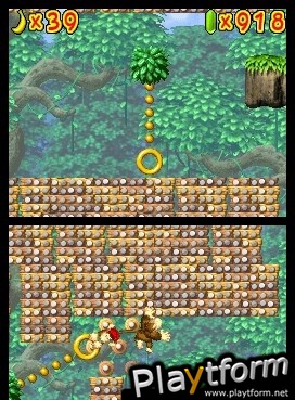 DK Jungle Climber (DS)