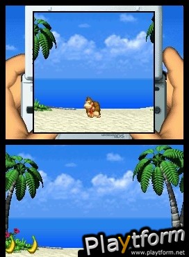 DK Jungle Climber (DS)