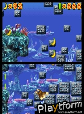 DK Jungle Climber (DS)