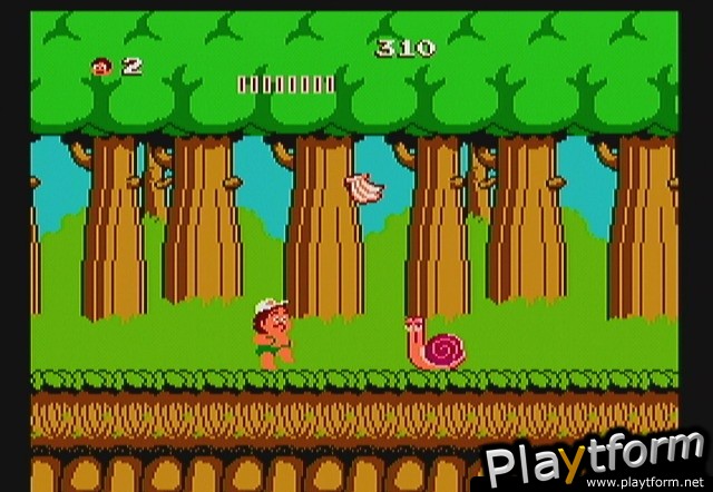 Adventure Island (Wii)