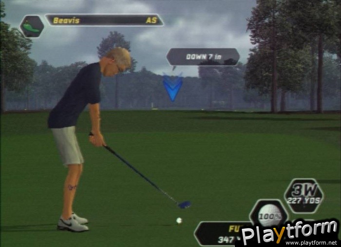 Tiger Woods PGA Tour 08 (PlayStation 2)