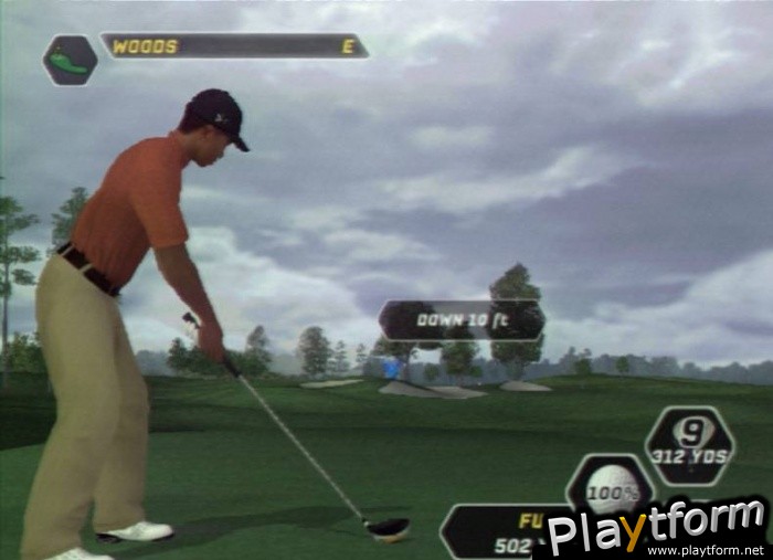 Tiger Woods PGA Tour 08 (PlayStation 2)