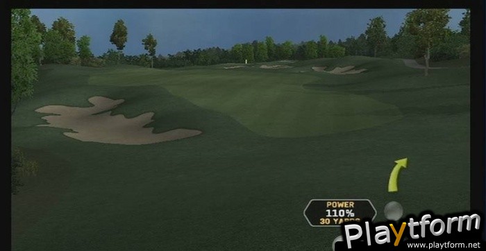 Tiger Woods PGA Tour 08 (Wii)