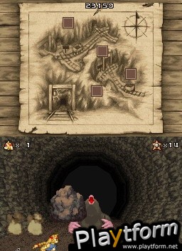 The Wild West (DS)