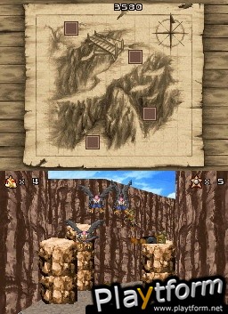 The Wild West (DS)