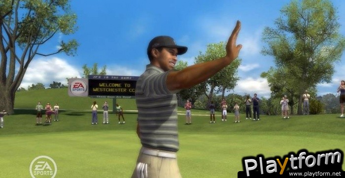 Tiger Woods PGA Tour 08 (PlayStation 3)