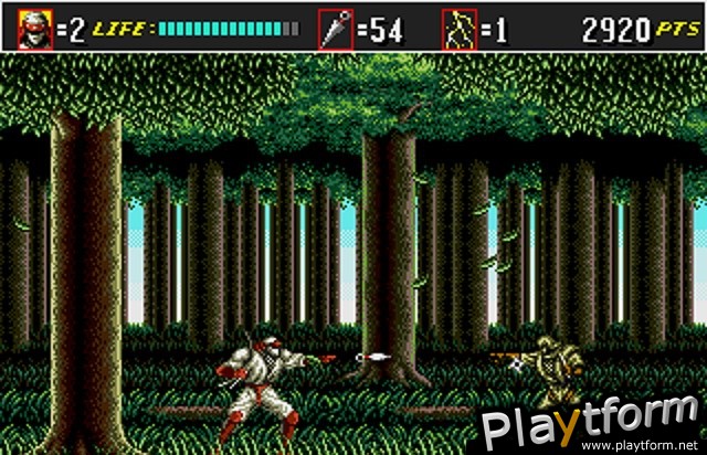 Shinobi III: Return of the Ninja Master (Wii)