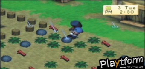 Harvest Moon: Boy & Girl (PSP)
