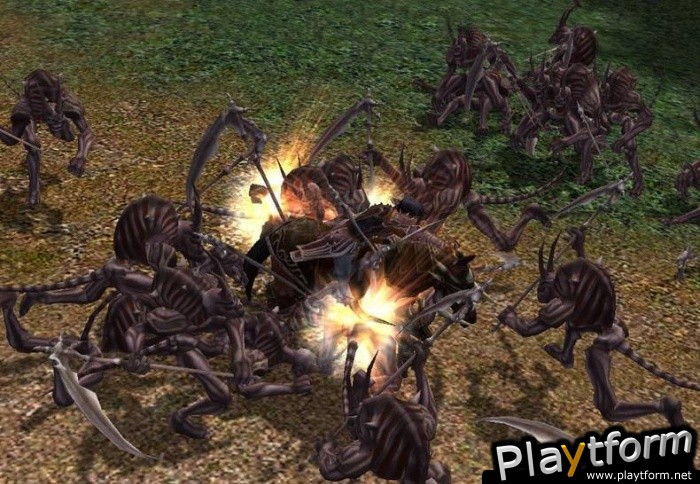 Metin2 (PC)