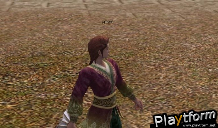 Metin2 (PC)
