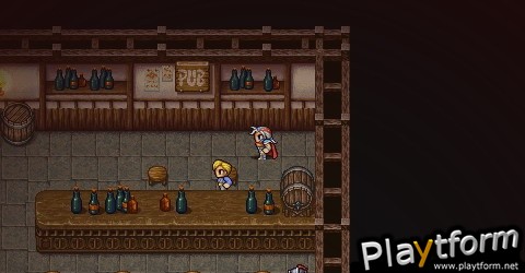 Final Fantasy II Anniversary Edition (PSP)