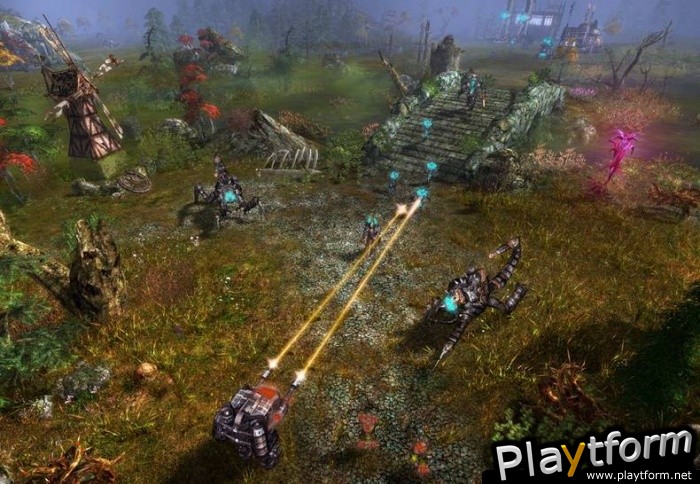 The Show (PC)