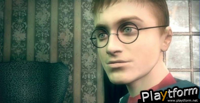 Harry Potter and the Order of the Phoenix (PC)
