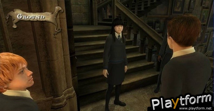Harry Potter and the Order of the Phoenix (PC)