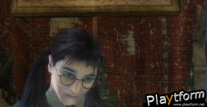 Harry Potter and the Order of the Phoenix (PC)