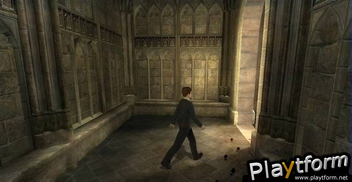 Harry Potter and the Order of the Phoenix (PC)