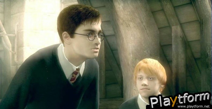 Harry Potter and the Order of the Phoenix (PC)
