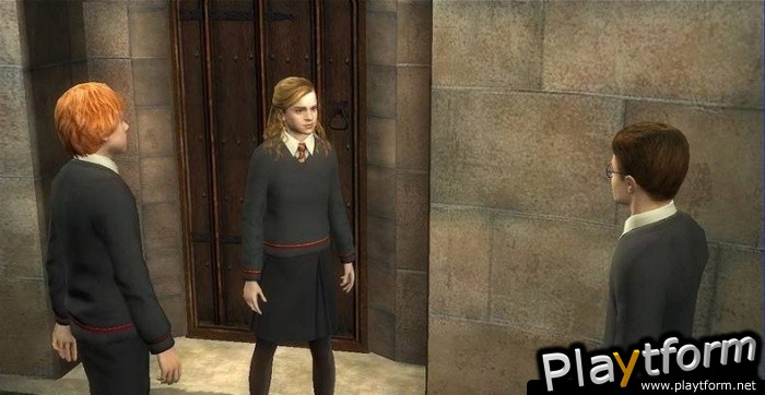 Harry Potter and the Order of the Phoenix (PC)