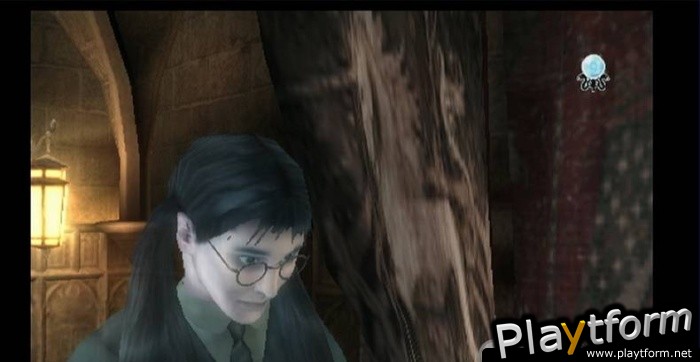 Harry Potter and the Order of the Phoenix (PlayStation 2)