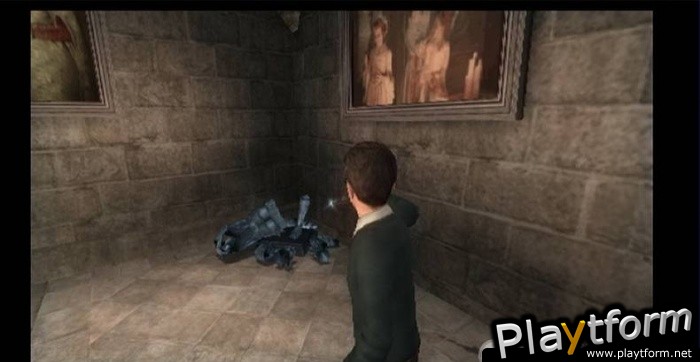 Harry Potter and the Order of the Phoenix (PlayStation 2)