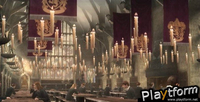 Harry Potter and the Order of the Phoenix (PlayStation 2)