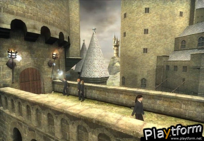 Harry Potter and the Order of the Phoenix (Wii)