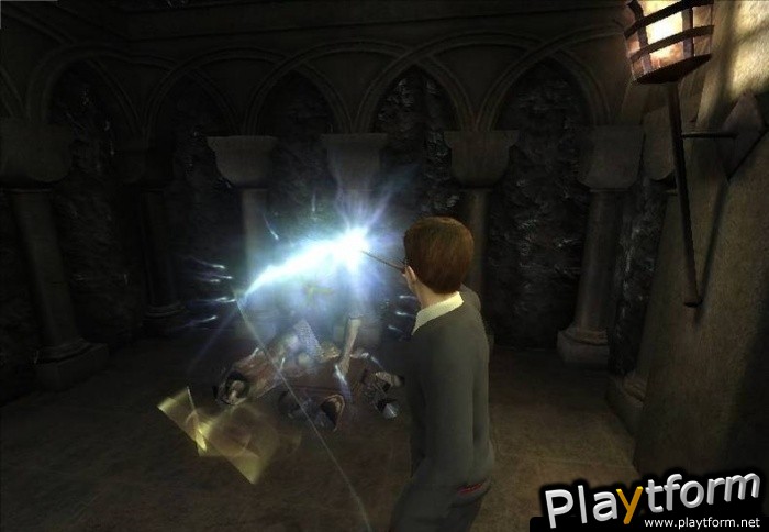 Harry Potter and the Order of the Phoenix (Wii)