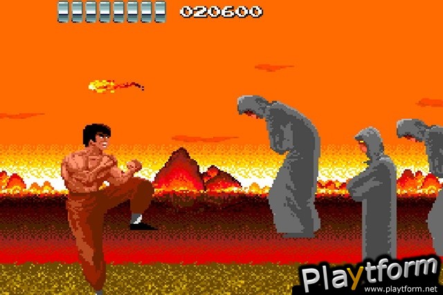 China Warrior (Wii)