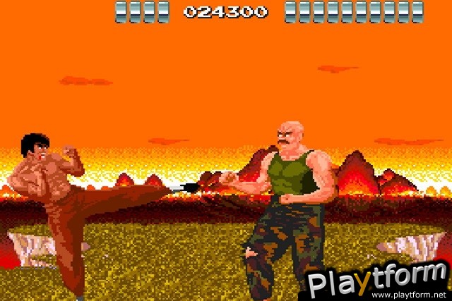China Warrior (Wii)