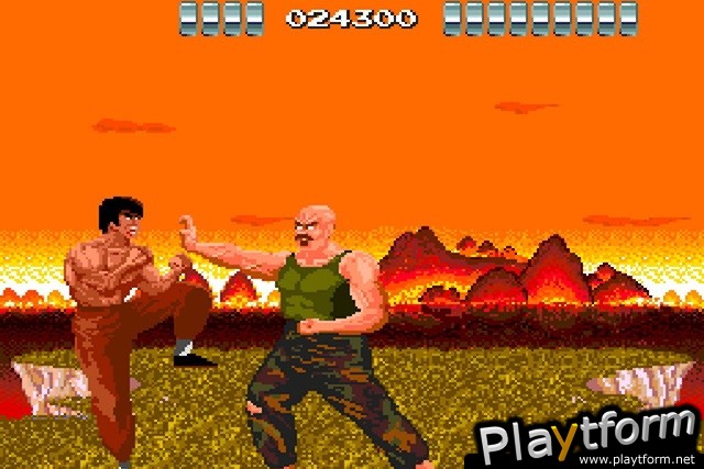 China Warrior (Wii)