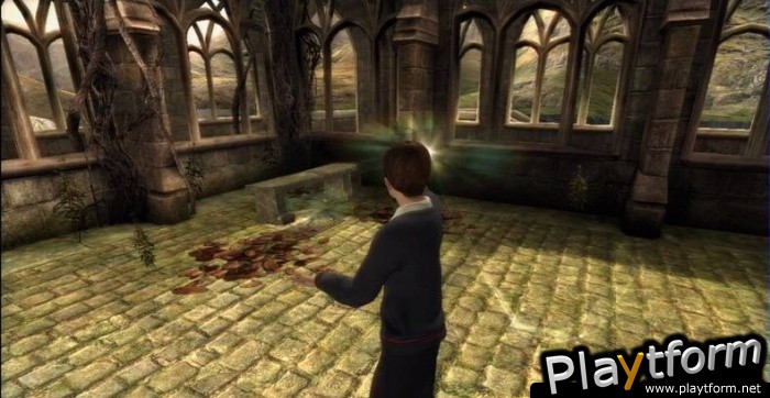 Harry Potter and the Order of the Phoenix (Xbox 360)