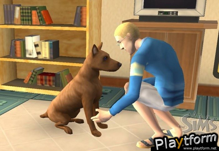 The Sims 2: Pets (Wii)