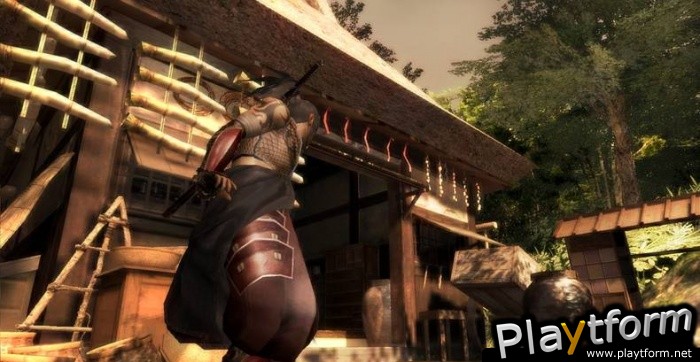 Tenchu Z (Xbox 360)