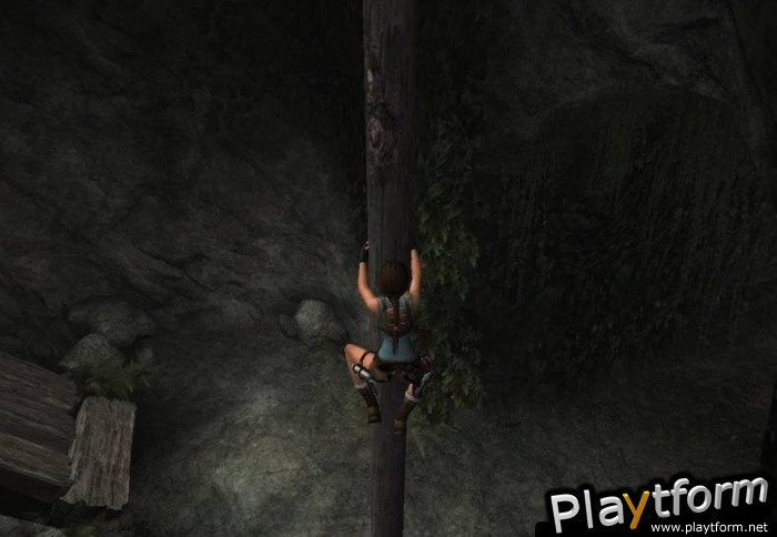 Tomb Raider: Anniversary (PC)
