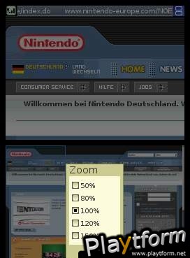 Nintendo DS Web Browser (DS)