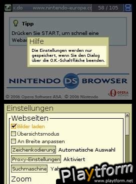Nintendo DS Web Browser (DS)