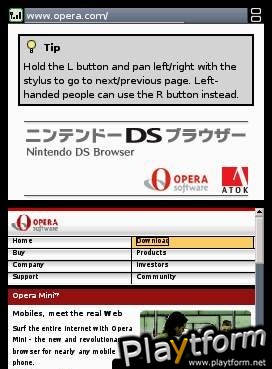 Nintendo DS Web Browser (DS)